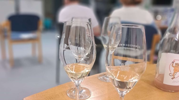 Wein & Gesundheit