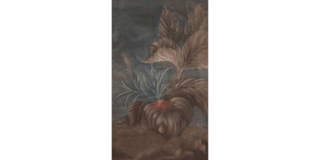 Marlene Warth: Herz der Natur
