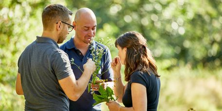 Patienten beim Waldbaden 