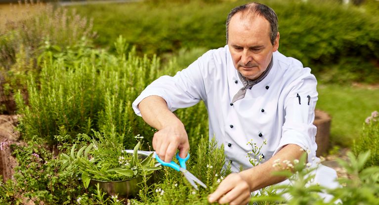 Profikoch Oliver Scheffold